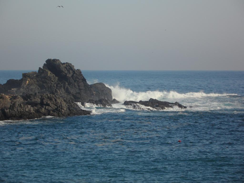 דירות וואלפאראיסו Vista Y Mar מראה חיצוני תמונה